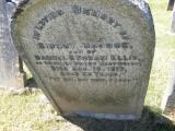 image number p49